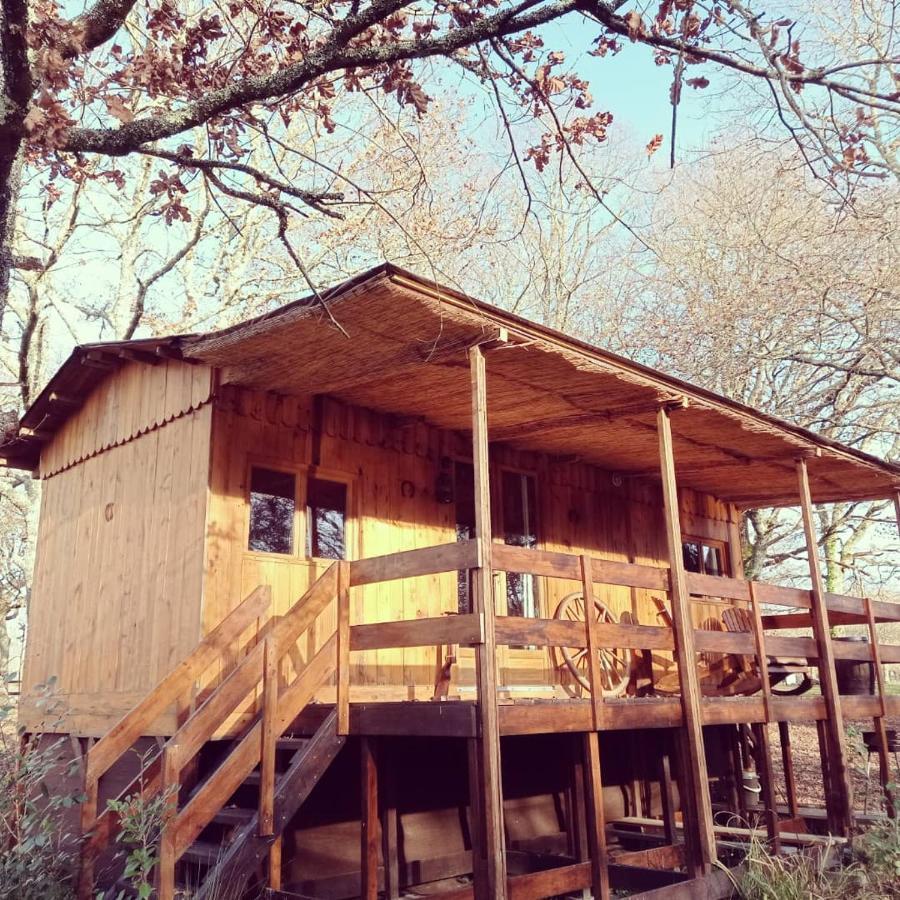 Le Ranch Amadeus Bed & Breakfast Saint-Paul-en-Born Exterior photo